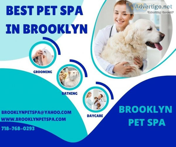 Do you want to find the best dog spa in Brooklyn