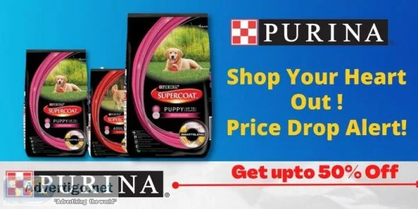 Online Dog and Cat food and Accessories