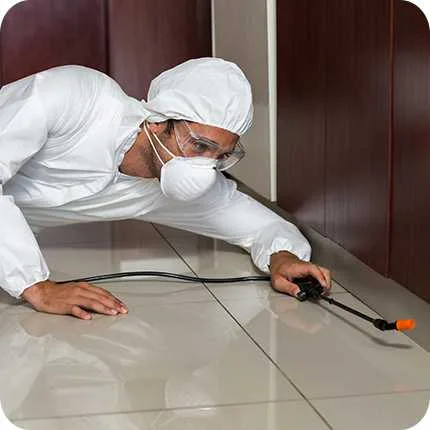 Pest control services in gurgaon | godrejpestcontrol