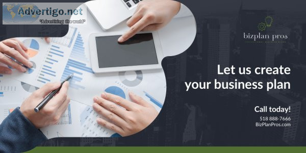 Professional business plan