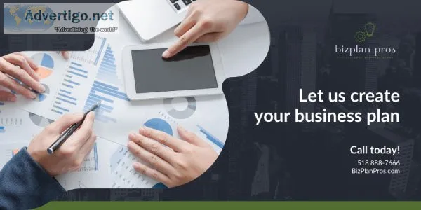 Professional business plan