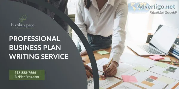 Professional business plan