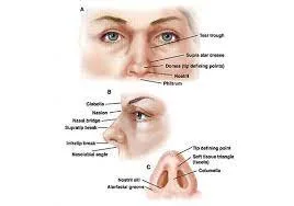 Rhinoplasty surgery cost in gurgaon - handa aesthetics