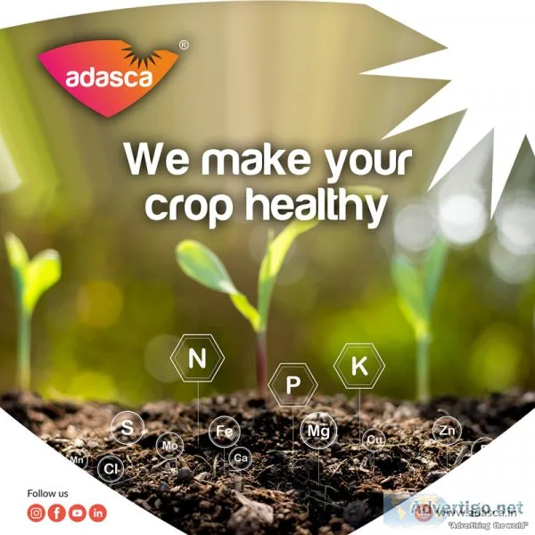 Organic fertilizer company