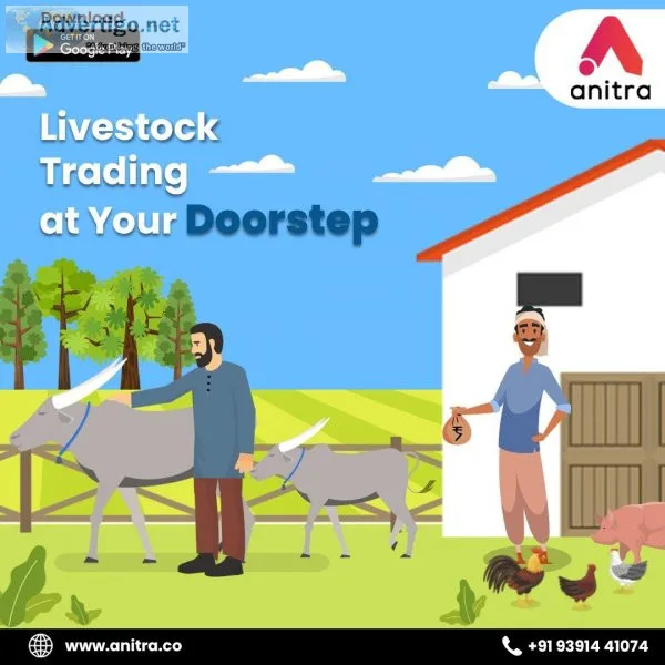 Download Livestock Trading App  Anitra