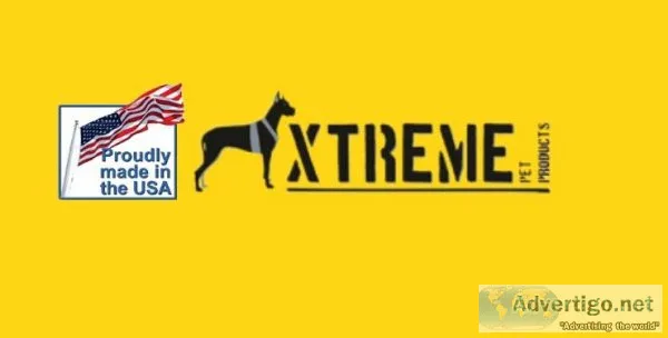 Buy Dog Accessories online  Unique and Comfortable Dog Leashes U