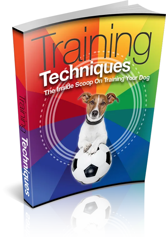 Training TechniquesNet