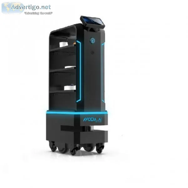 Flash Waiter Server Robots New York Nevada Florida California