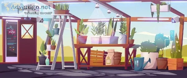 Best Motion Design Courses Online  Motion Graphic Online Certifi