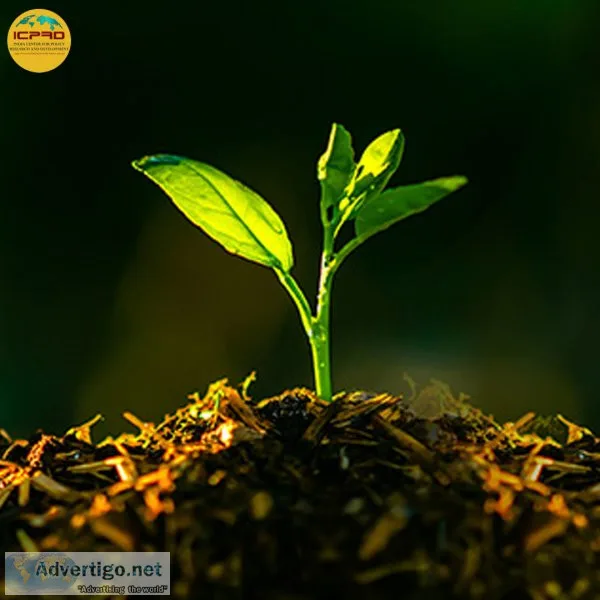 Agriculture | india centre for policy research and development
