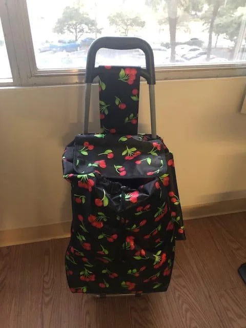 Cart for Groceries (with Wheels)