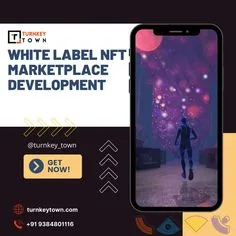 White label nft marketplace development solutions - a detailed c