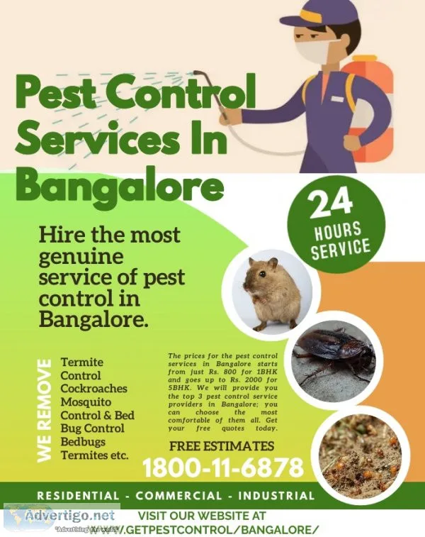 Hire the most genuine services of pest control in bangalore