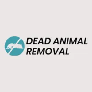 Carcass Removal Services London