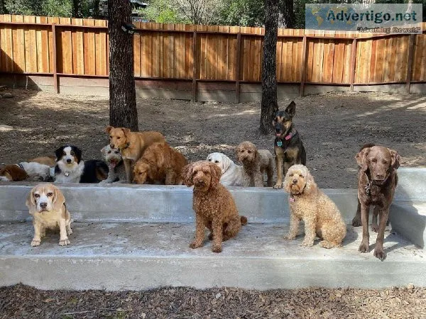 Choose the right Boarding for your Dog