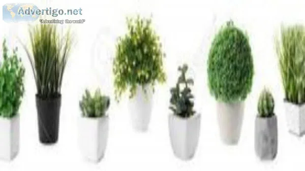 Ceramic Large Planters