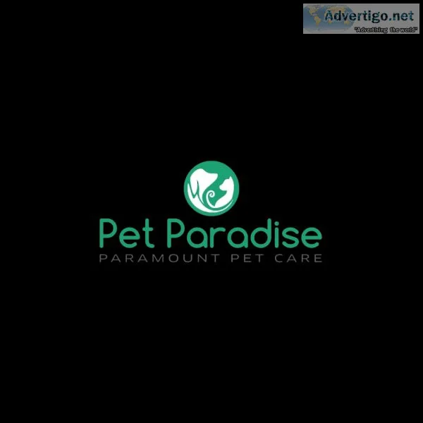 veterinary doctor in navi mumbai