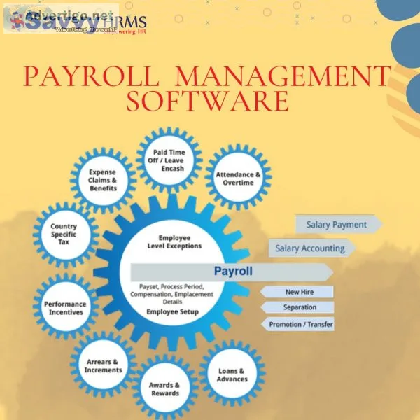 Cloud based payroll software- savvy hrms