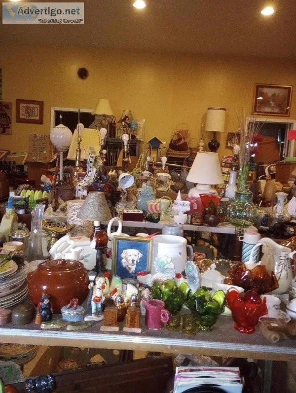 Donegal fleatique  369 Hellein School Rd