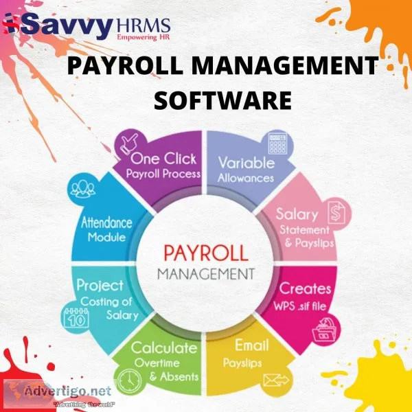 Payroll accounting software- savvy hrms