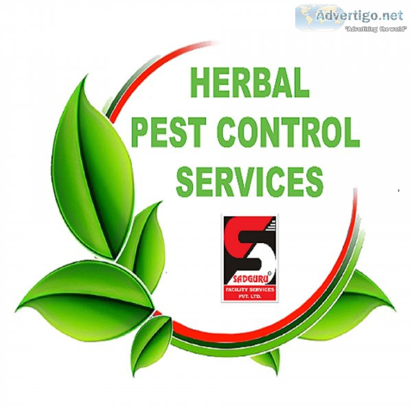 Best pest control services in thane - sadguru pest control