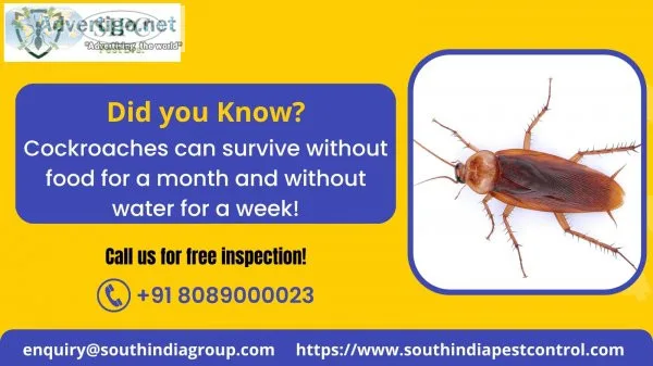 Cockroach control in goa