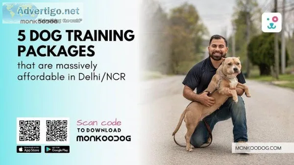 5 Massively Affordable Dog Training Packages in Delhi NCR