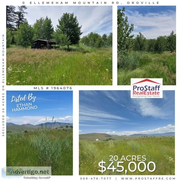 Secluded 20 Acres on Ellemeham Mountain