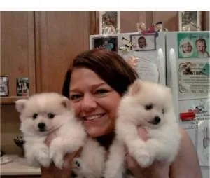 beautiful male and female Pomeranian puppies available