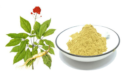 Plant extract supplier