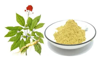 Plant extract supplier