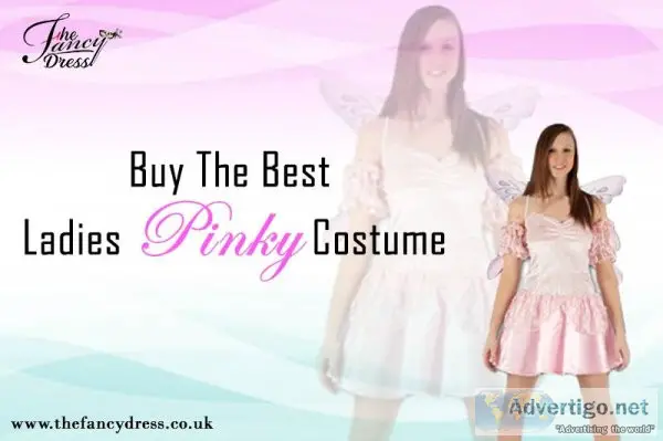 Buy The Best Ladies Pinky Costume