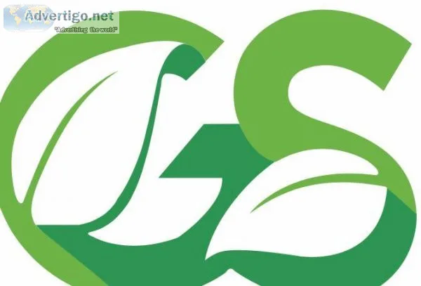 IT Designer Jobs For Fresher
