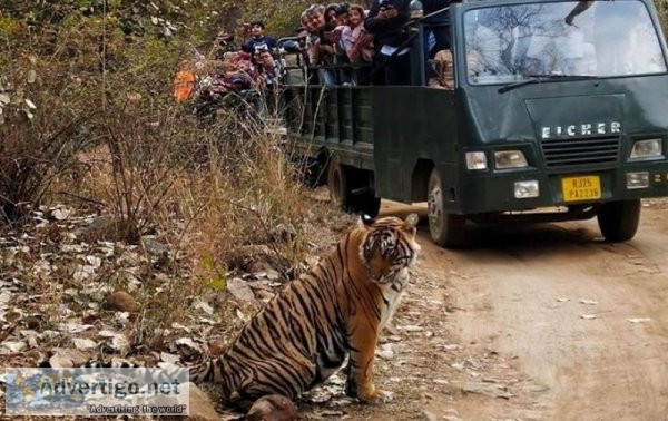 Ranthambore national park tour packages