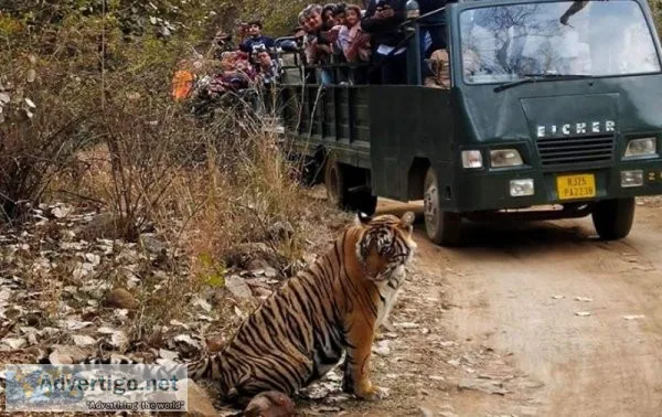 Ranthambore national park tour packages