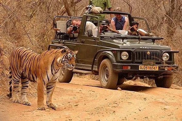Ranthambore national park safari booking