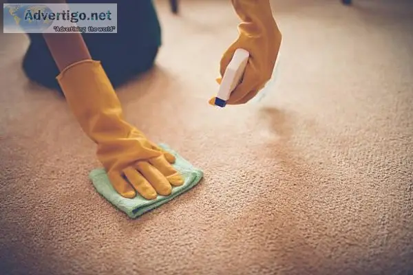 Are Your Searching Carpet Cleaning Service