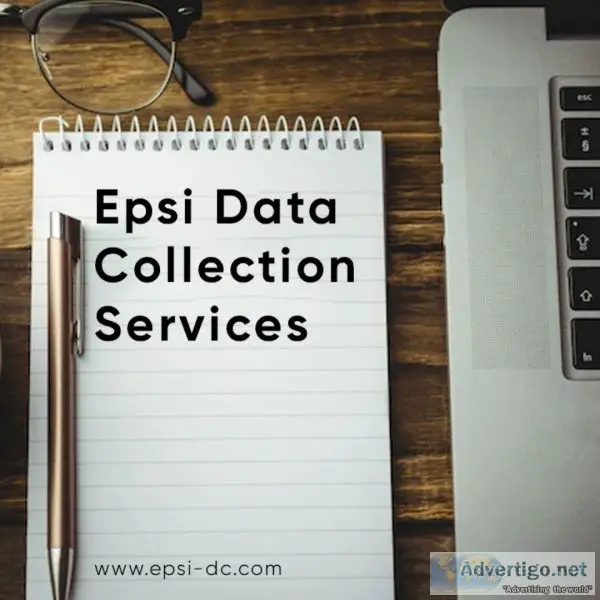 EPSI Data Collection Services &ndash Provider Of Quality Data Se