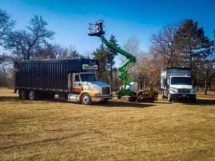 High risk tree removal proper pruning