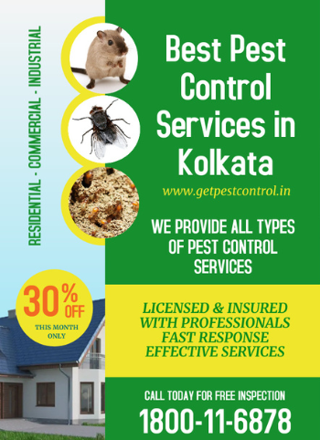 Best pest control services in kolkata at low cost