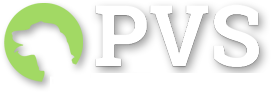 Pet Wellness Testing and Exams  Wellness Examination Testing for