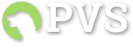 Pet Wellness Testing and Exams  Wellness Examination Testing for