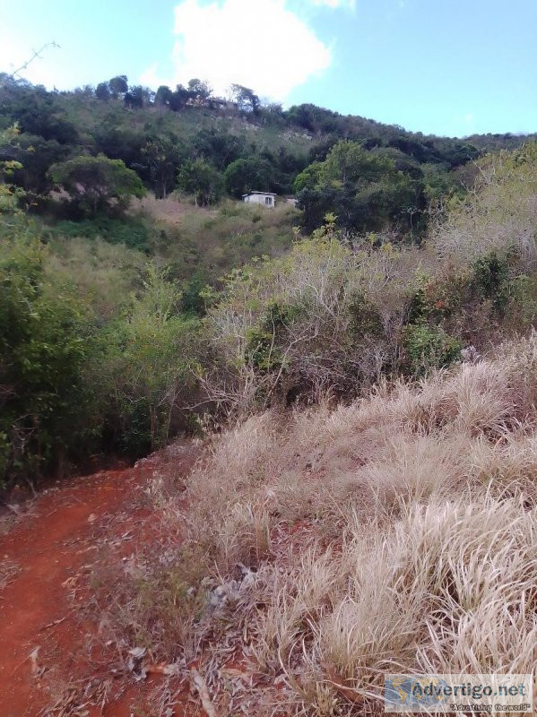 ST. ELIZABETH  JAMAICA LAND WITH SMALL HOUSE