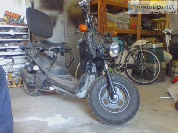 2008 Honda ruckus