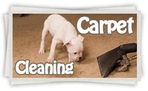 Steam Carpet Cleaning Houston TX