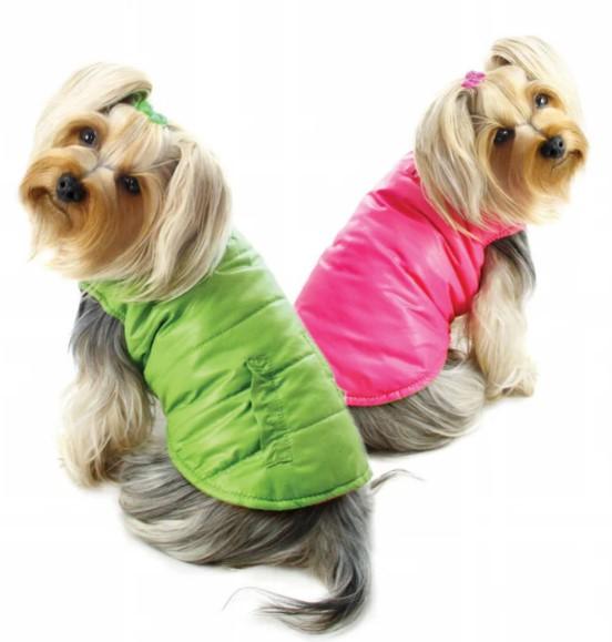 The Best Quality Raincoat And Jackets For Dogs Online