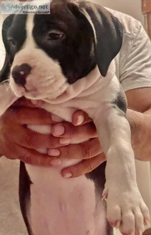 Cute adorable