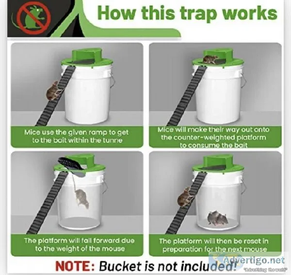 Innovative mouse trap