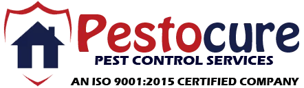 Termite control service in hyderabad