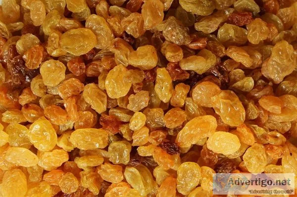 Are sultanas healthy to eat every day?